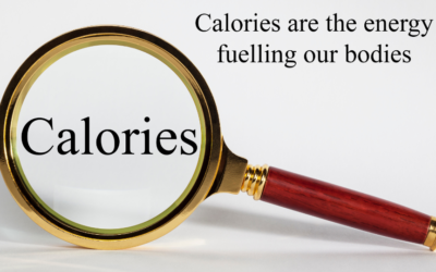 How Many Calories Will I Burn Sitting vs Standing? | Calories Burned, Calorie Stand