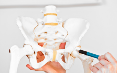 Which Hip Replacement is Best? | Hip Surgery | Hip Replacements